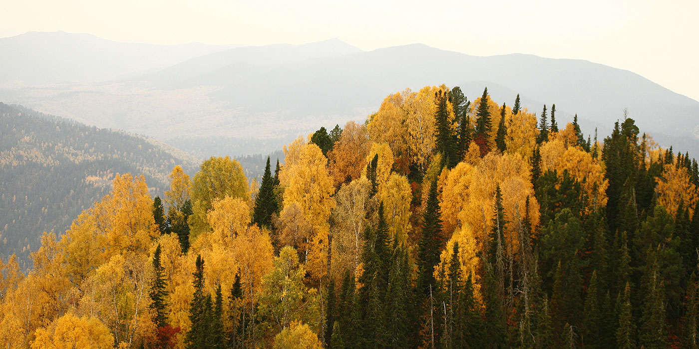 Altai mountains in the fall.